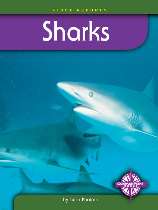 Title details for Sharks by Lucia Raatma - Available